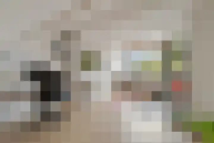 Celsiuslaan 16 Hilversum thumbnail 28