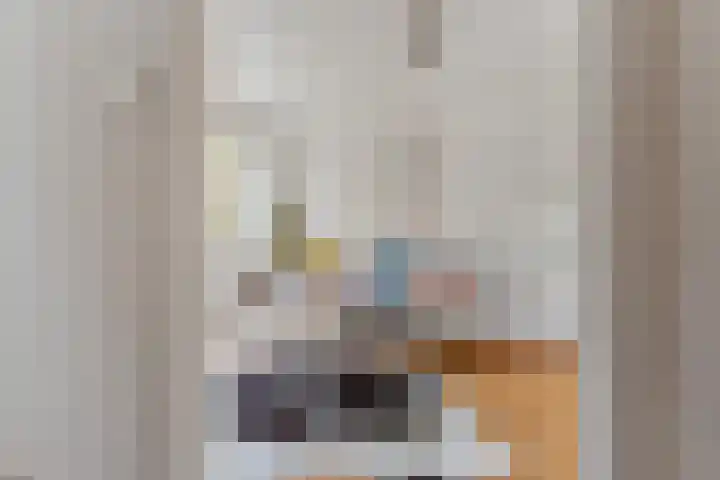 Celsiuslaan 16 Hilversum thumbnail 5