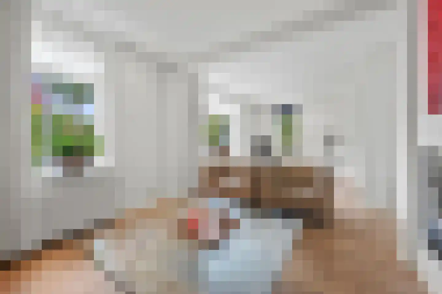 Celsiuslaan 17 Vlijmen thumbnail 12