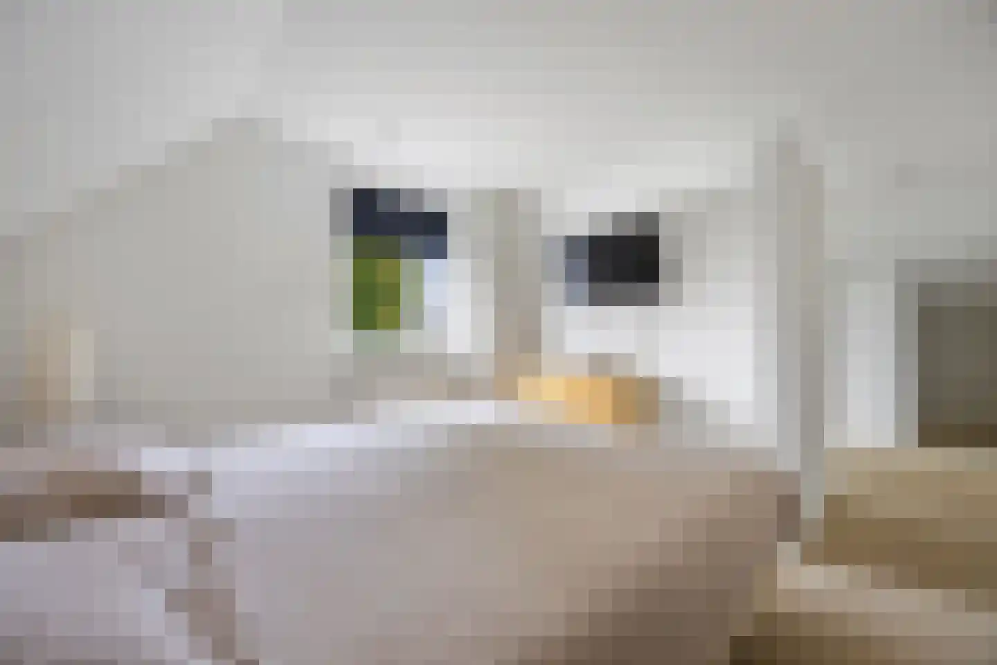 Celsiuslaan 17 Vlijmen thumbnail 34