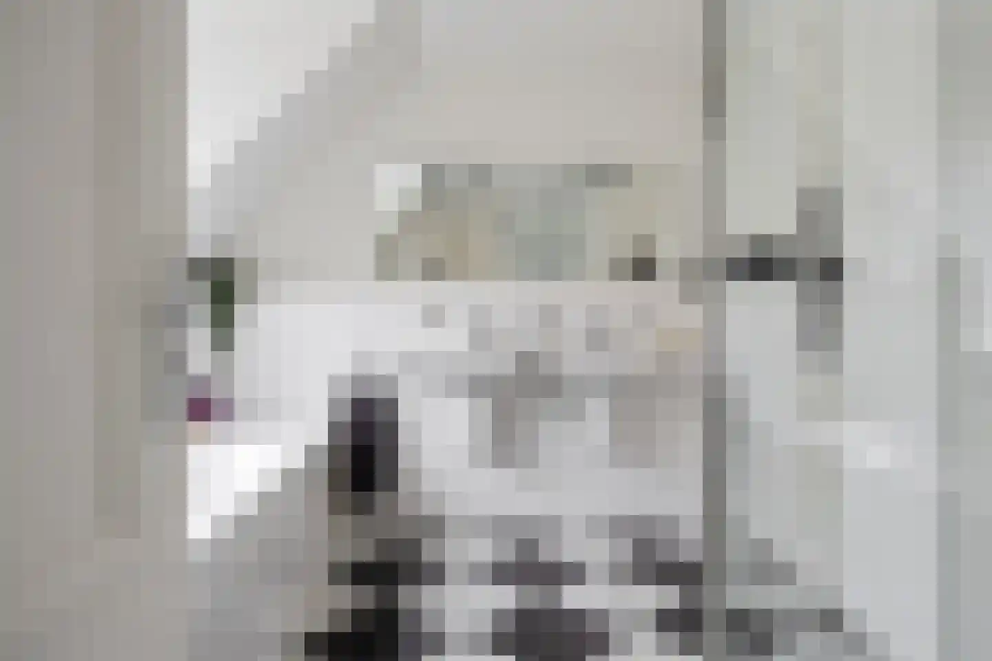 Celsiuslaan 17 Vlijmen thumbnail 37