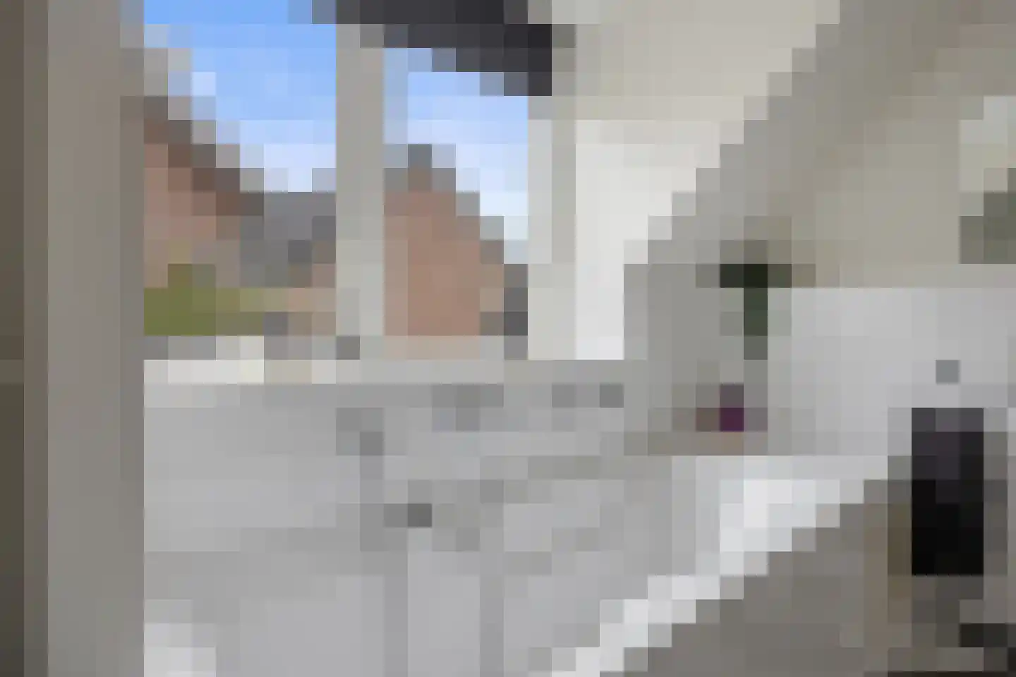 Celsiuslaan 17 Vlijmen thumbnail 38