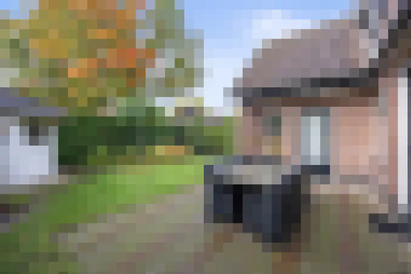 Celsiuslaan 17 Vlijmen thumbnail 4