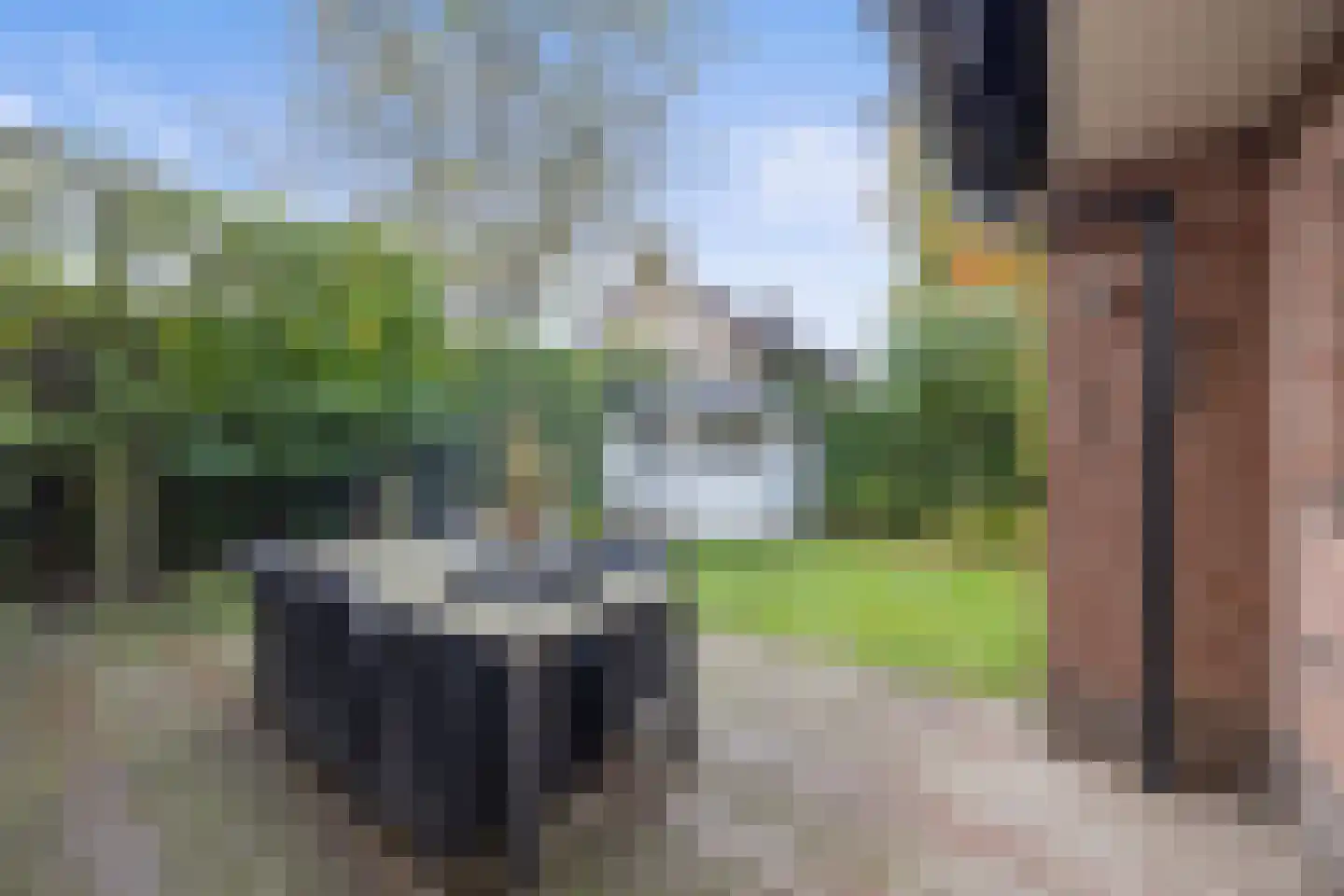 Celsiuslaan 17 Vlijmen thumbnail 41