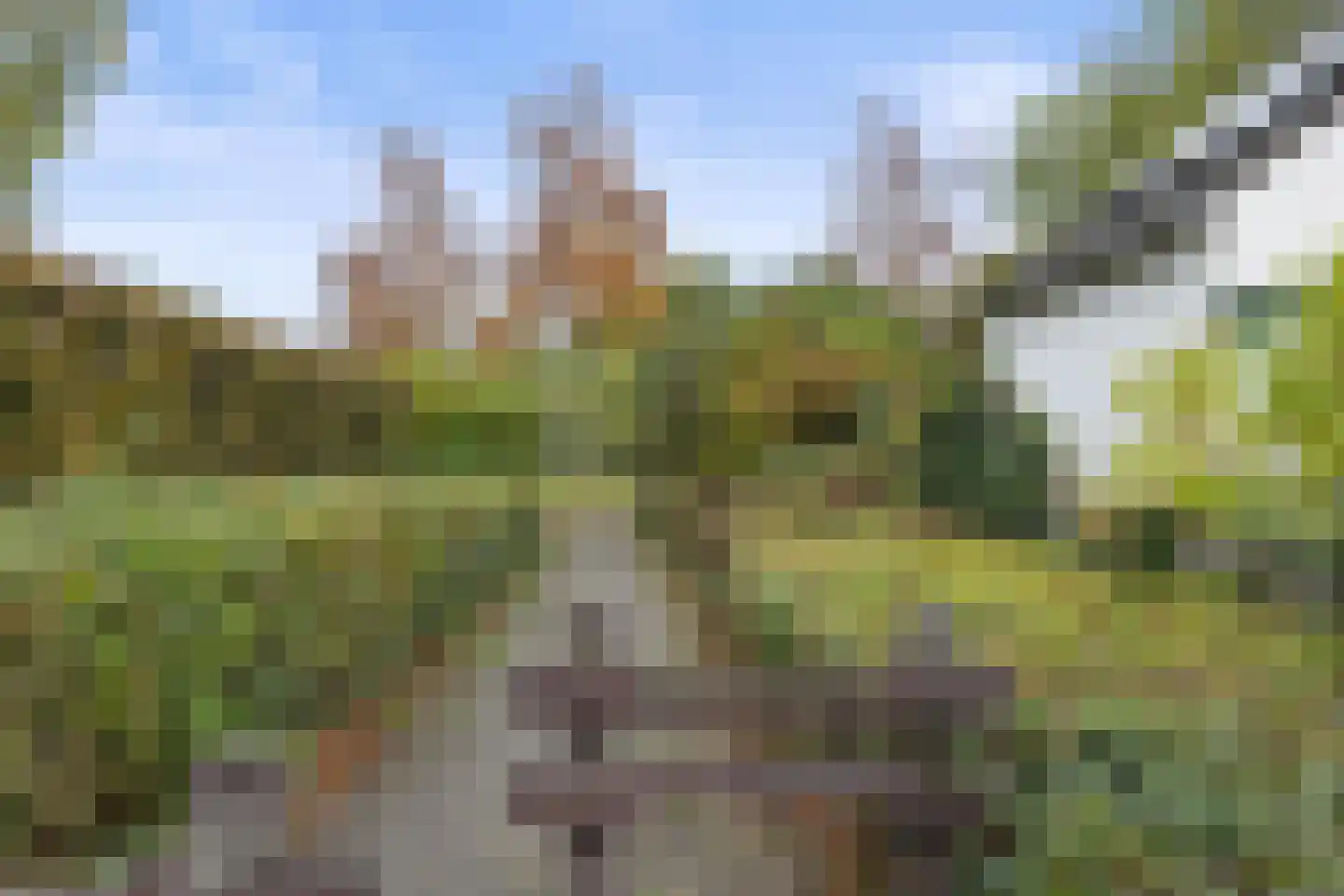 Celsiuslaan 17 Vlijmen thumbnail 50