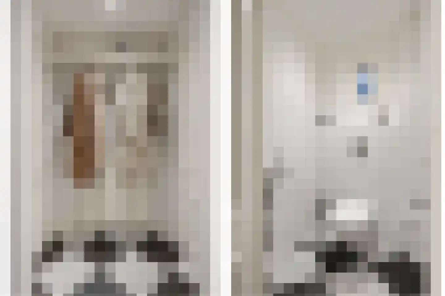 Celsiuslaan 17 Vlijmen thumbnail 7