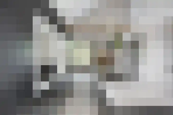 Celsiuslaan 4 Vlijmen thumbnail 11