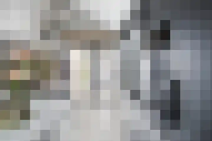 Celsiuslaan 4 Vlijmen thumbnail 13