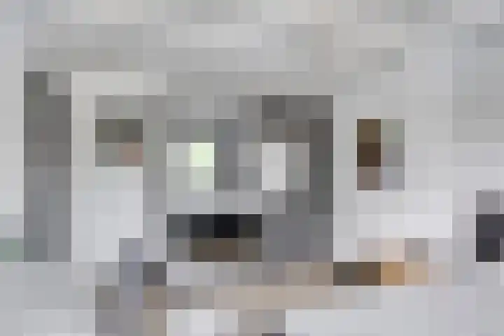 Celsiuslaan 4 Vlijmen thumbnail 20