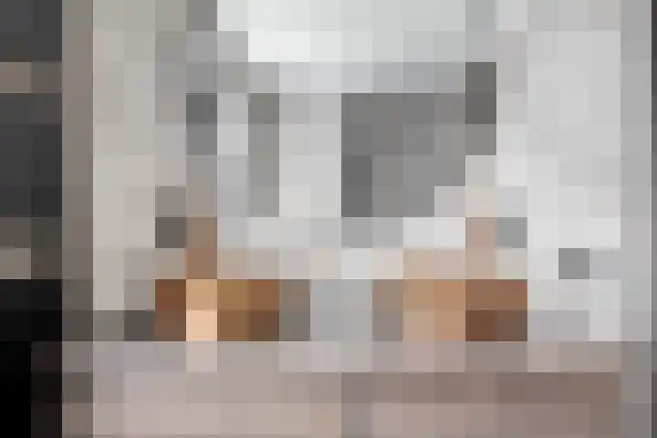 Celsiuslaan 4 Vlijmen thumbnail 22