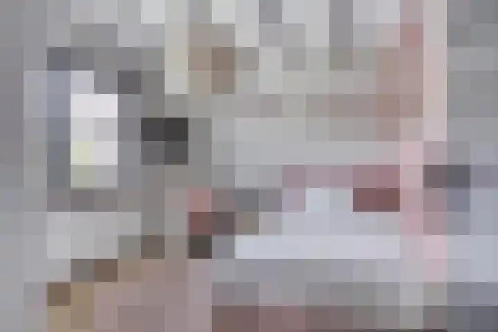 Celsiuslaan 4 Vlijmen thumbnail 24