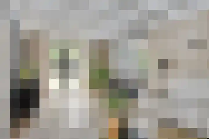 Celsiuslaan 4 Vlijmen foto 3