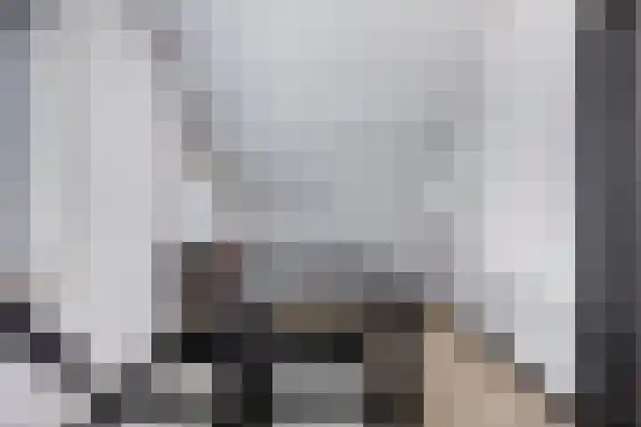 Celsiuslaan 4 Vlijmen thumbnail 34