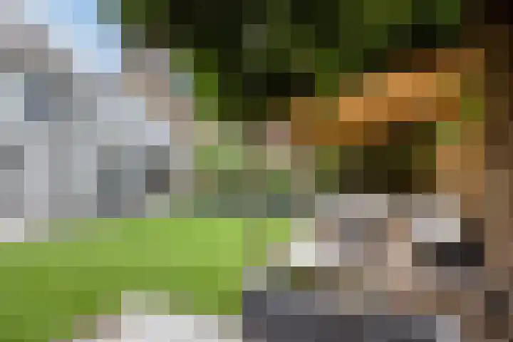 Celsiuslaan 4 Vlijmen thumbnail 38