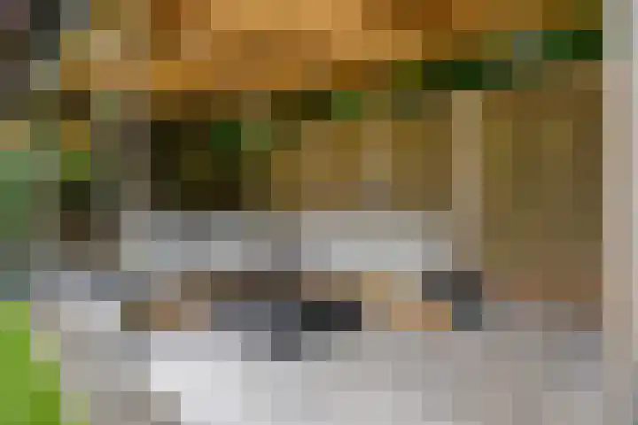 Celsiuslaan 4 Vlijmen thumbnail 39