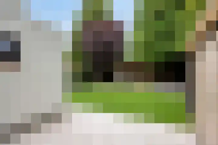 Celsiuslaan 4 Vlijmen thumbnail 40