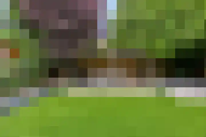 Celsiuslaan 4 Vlijmen thumbnail 41