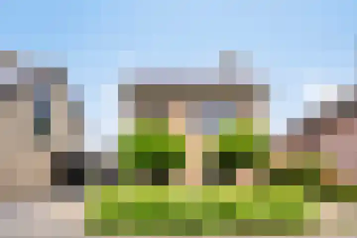 Celsiuslaan 4 Vlijmen thumbnail 46
