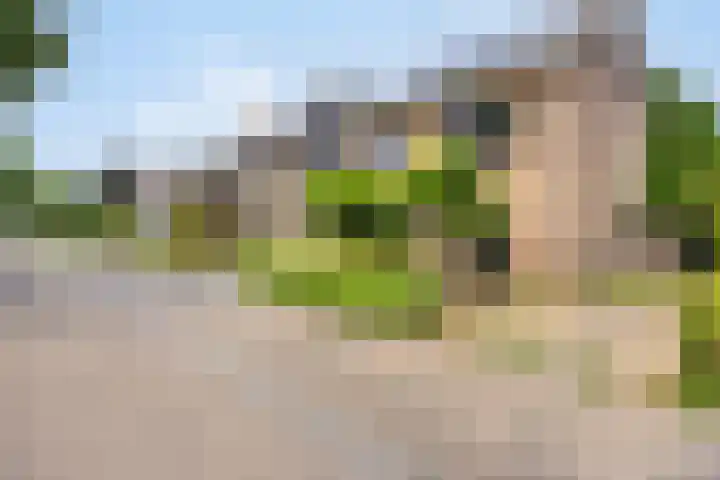 Celsiuslaan 4 Vlijmen thumbnail 49