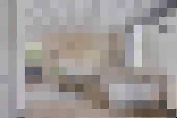 Celsiuslaan 4 Vlijmen thumbnail 5