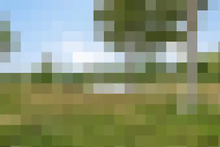 Celsiuslaan 4 Vlijmen thumbnail 51