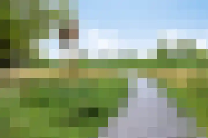 Celsiuslaan 4 Vlijmen thumbnail 54