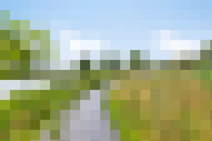 Celsiuslaan 4 Vlijmen thumbnail 55