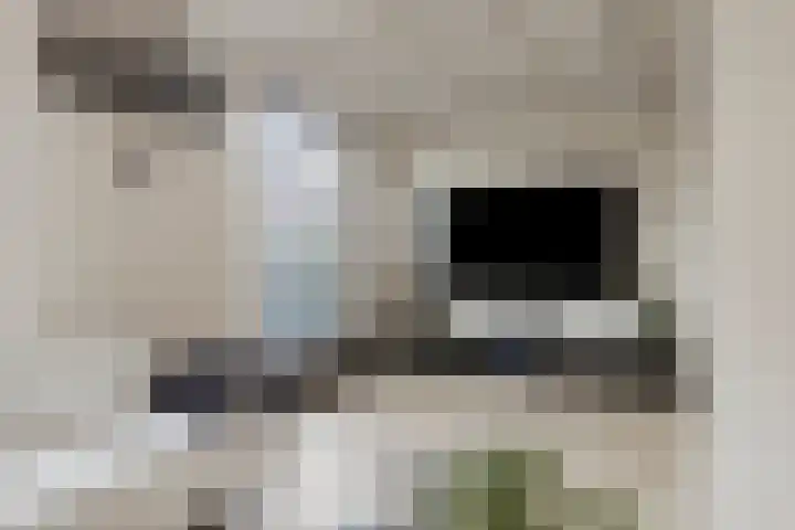 Celsiuslaan 4 Vlijmen thumbnail 6