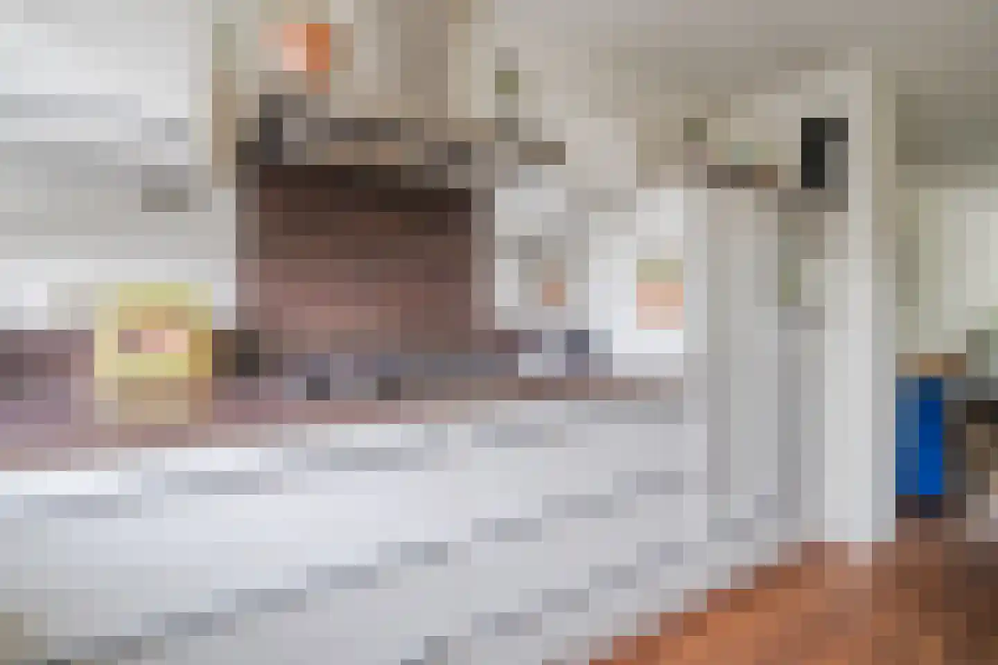 Celsiuslaan 58 Utrecht thumbnail 16