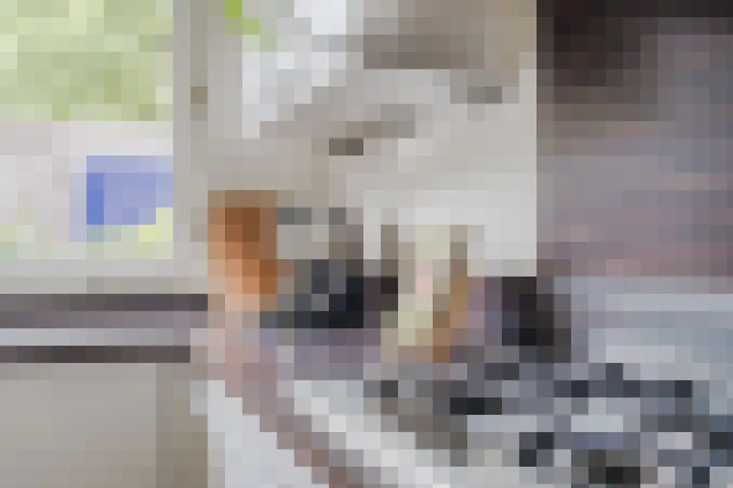 Celsiuslaan 58 Utrecht thumbnail 17
