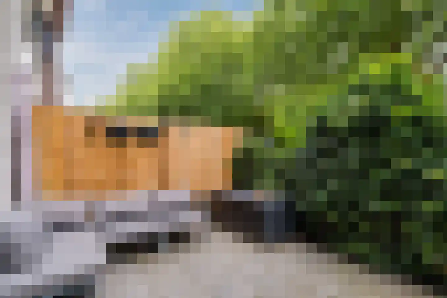 Celsiuslaan 58 Utrecht thumbnail 19