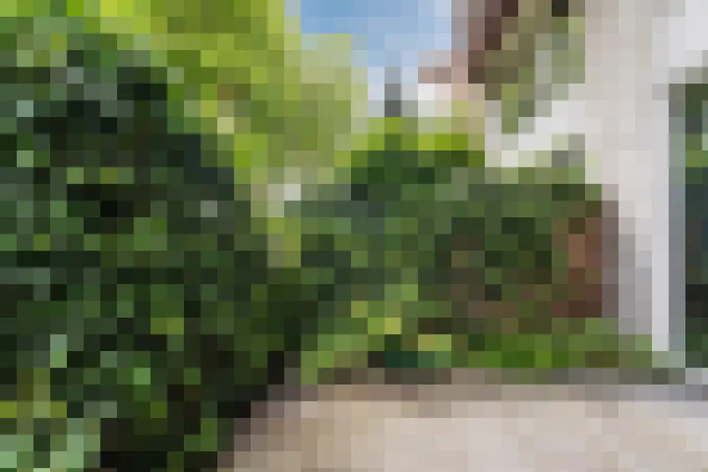 Celsiuslaan 58 Utrecht thumbnail 20