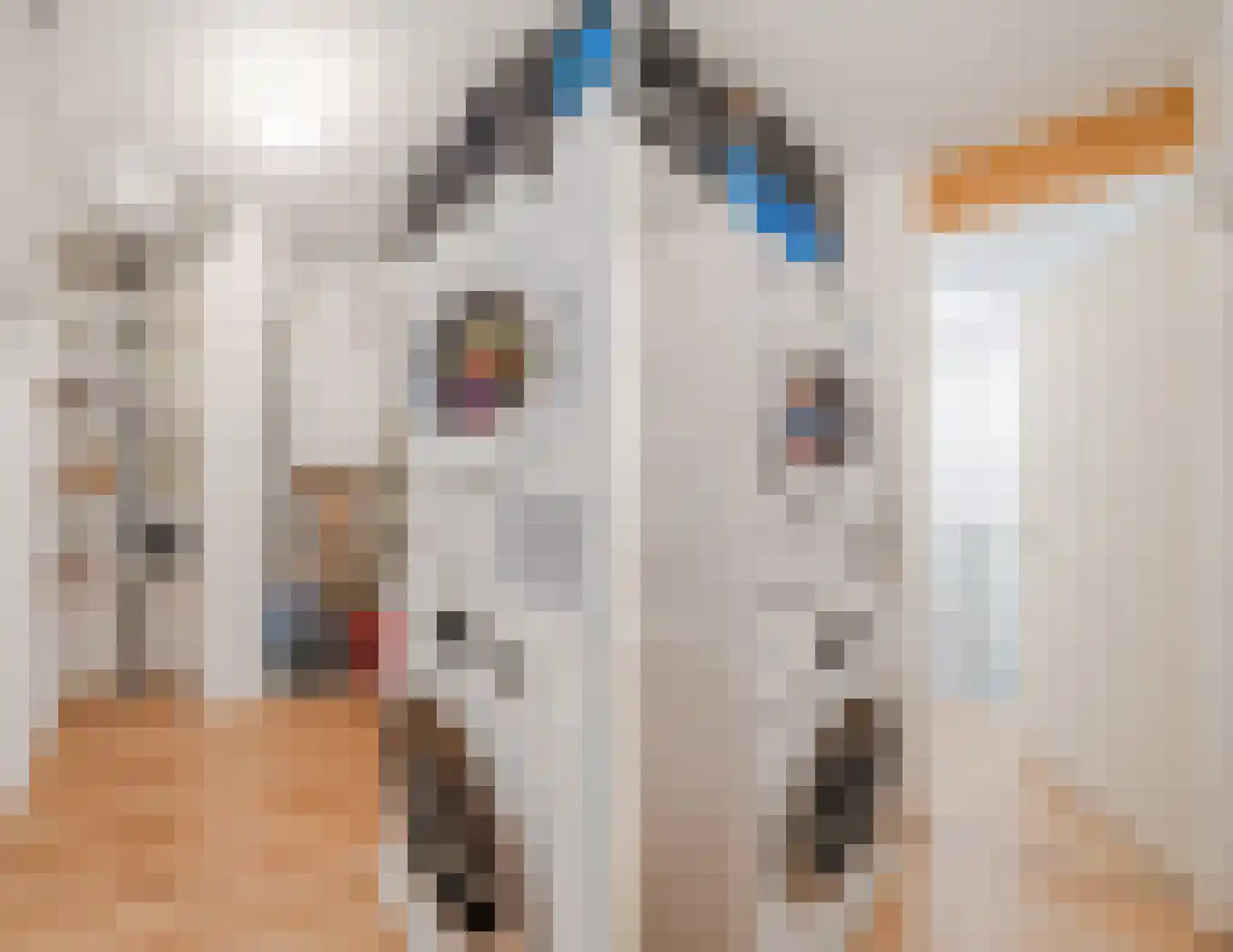 Celsiuslaan 58 Utrecht thumbnail 36