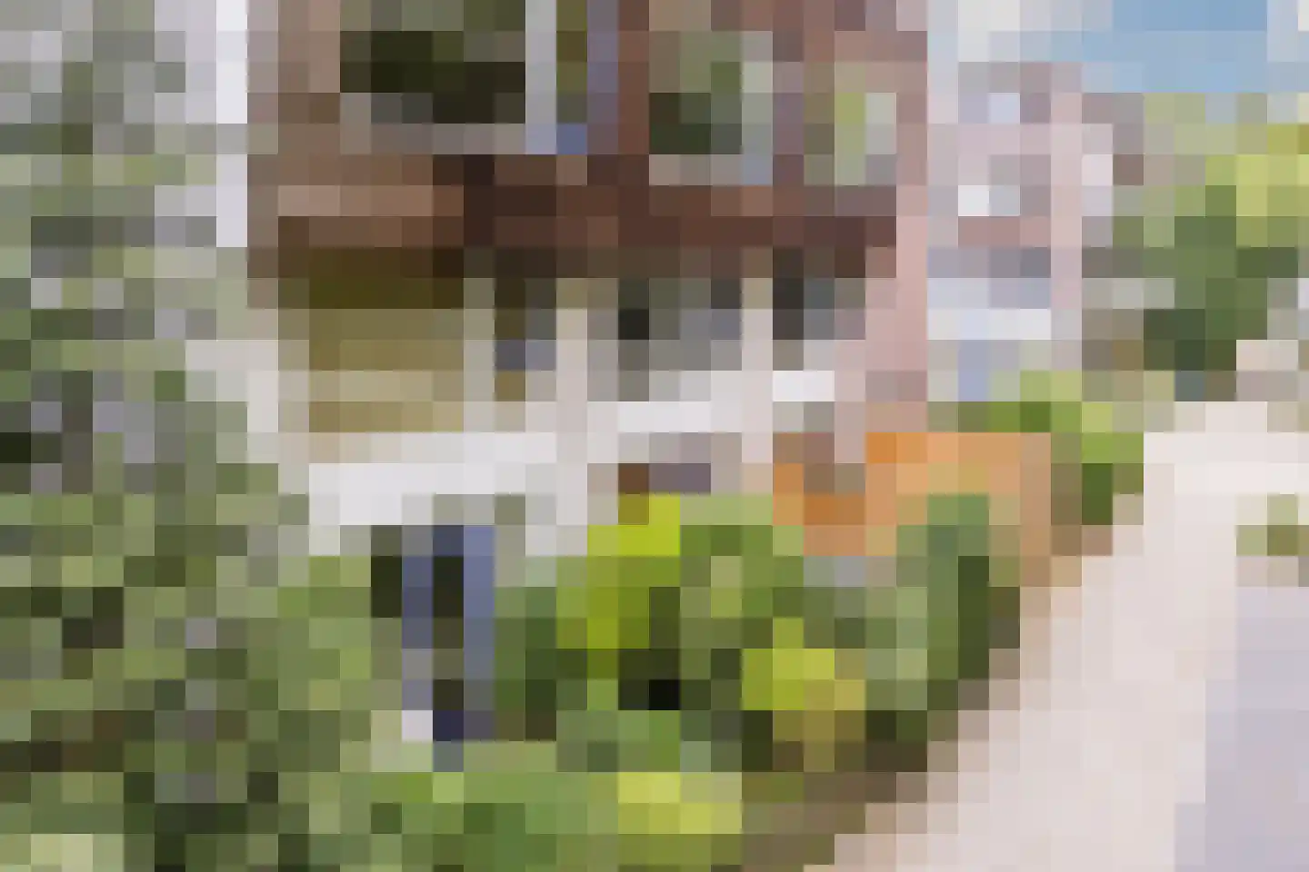 Celsiuslaan 58 Utrecht thumbnail 37