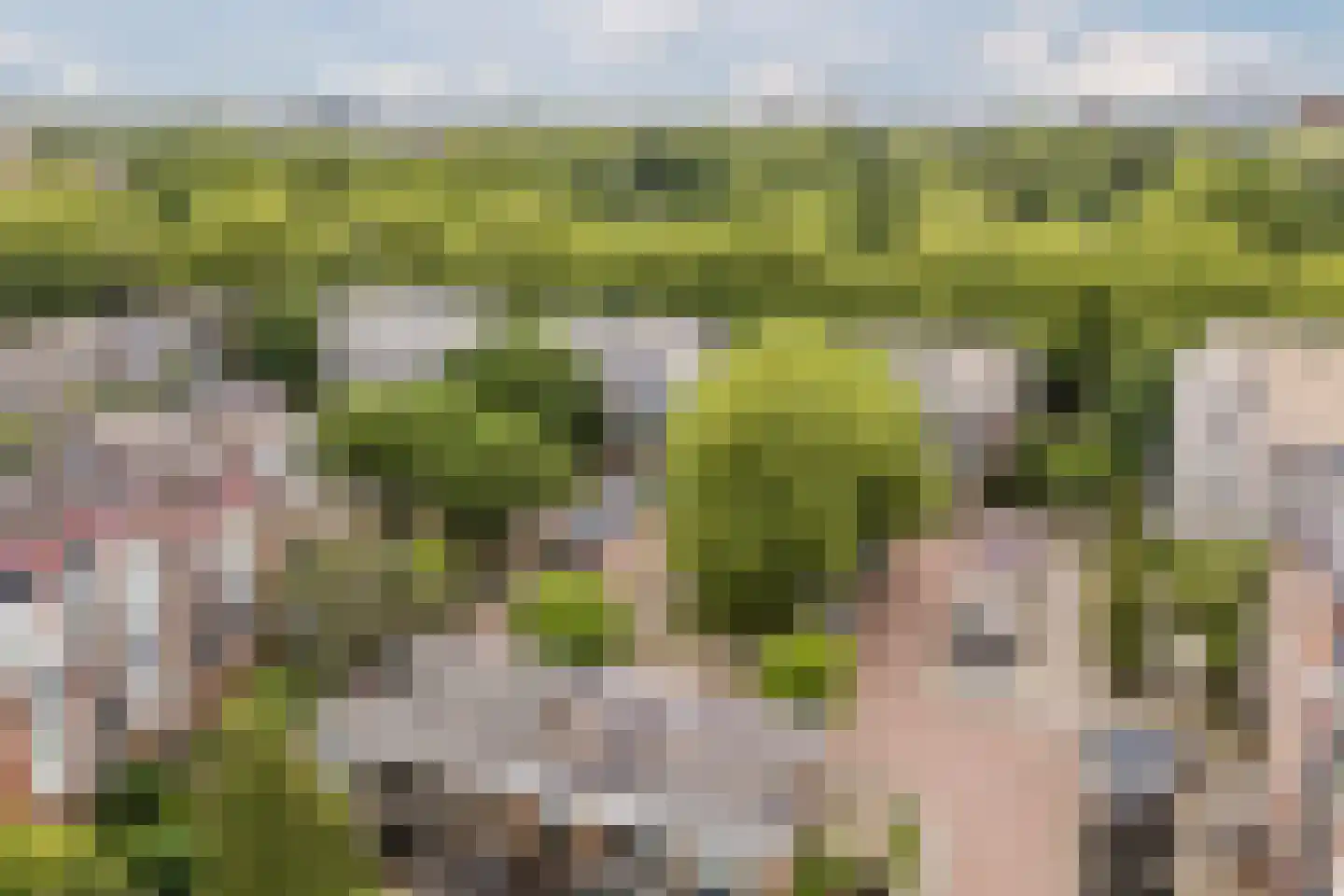 Celsiuslaan 58 Utrecht thumbnail 38