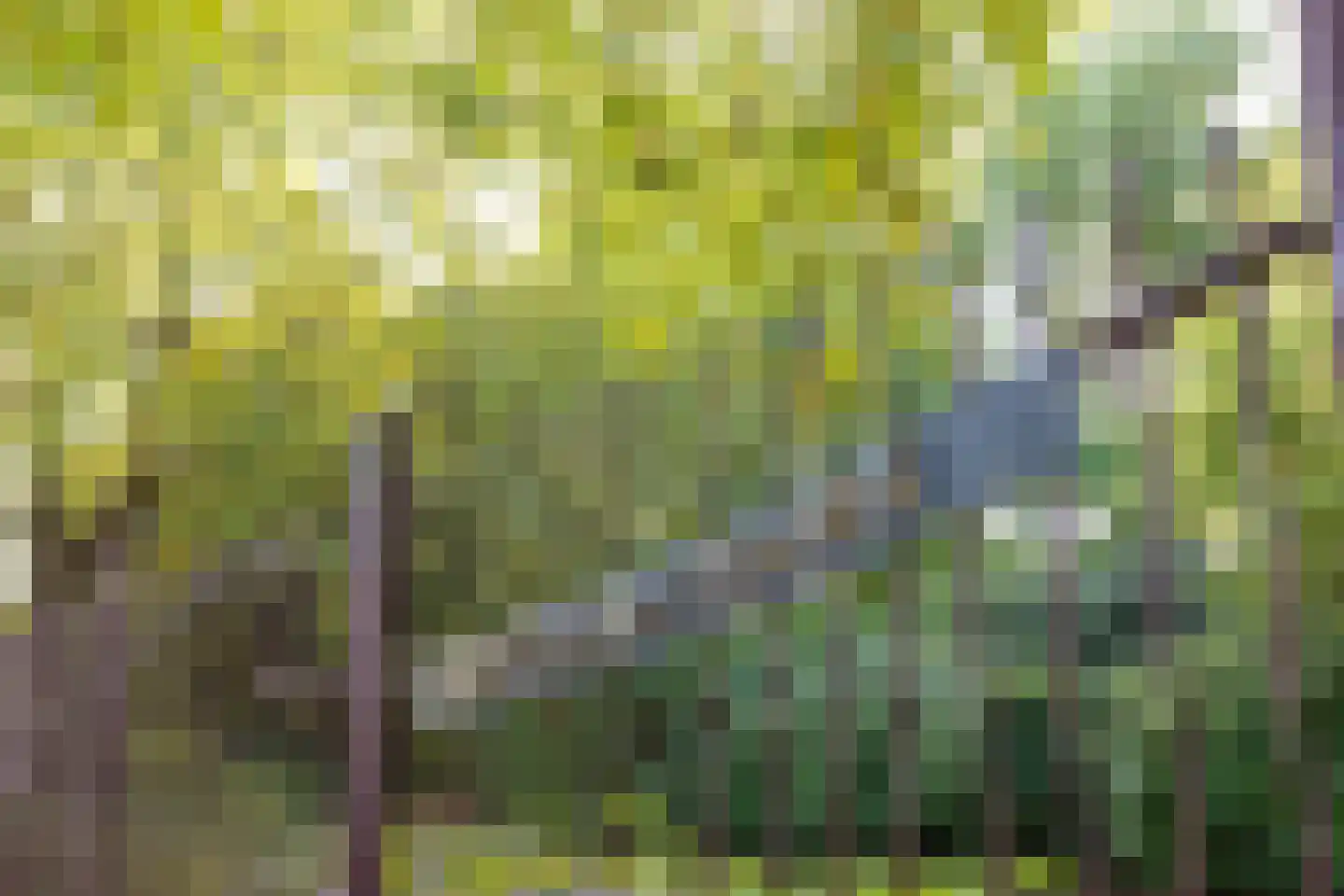 Celsiuslaan 58 Utrecht thumbnail 40