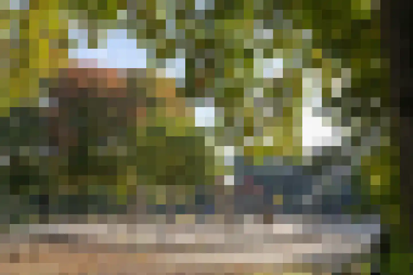 Celsiuslaan 58 Utrecht thumbnail 43