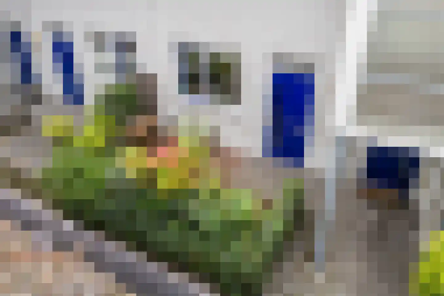 Celsiuslaan 58 Utrecht thumbnail 5