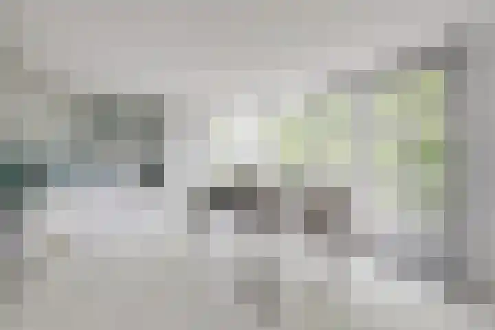 Celsiuslaan 72 Utrecht thumbnail 13