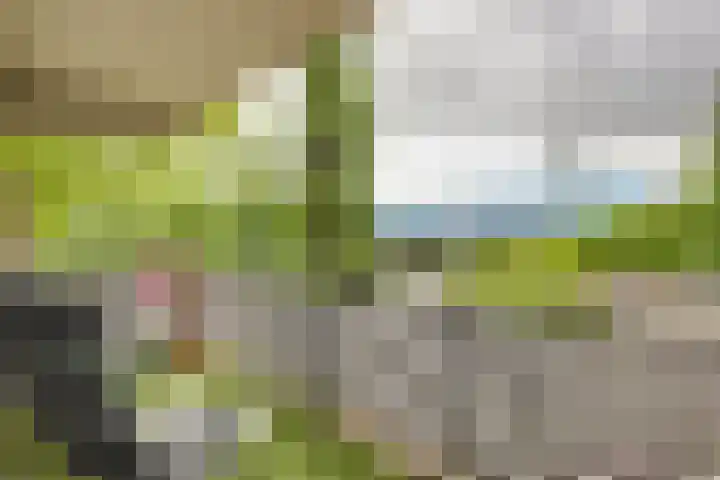 Celsiuslaan 72 Utrecht thumbnail 24