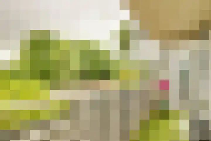 Celsiuslaan 72 Utrecht thumbnail 26