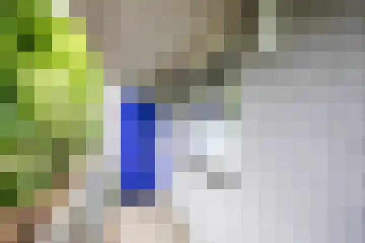 Celsiuslaan 72 Utrecht thumbnail 28