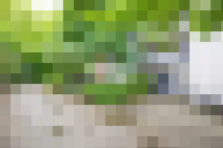 Celsiuslaan 72 Utrecht thumbnail 30