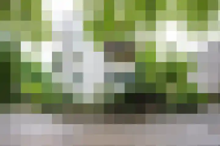 Celsiuslaan 72 Utrecht thumbnail 32