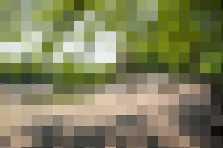 Celsiuslaan 72 Utrecht thumbnail 35