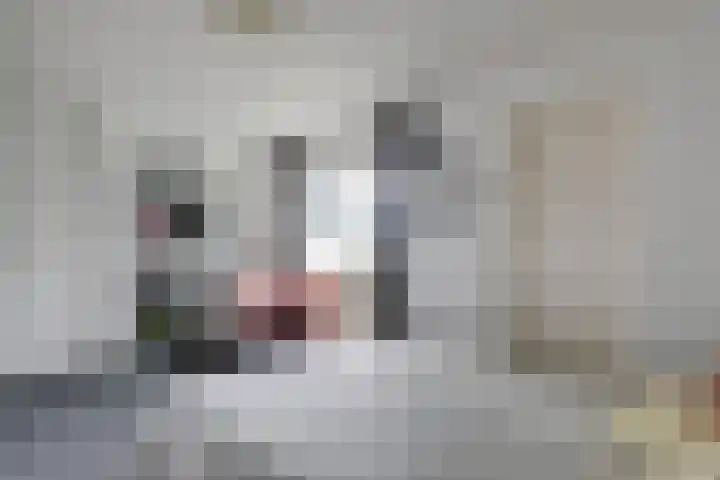 Celsiuslaan 72 Utrecht thumbnail 5