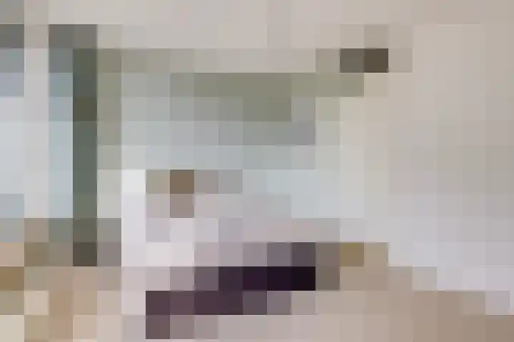 Celsiuslaan 78 Utrecht thumbnail 20
