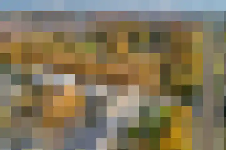 Celsiuslaan 78 Utrecht thumbnail 32