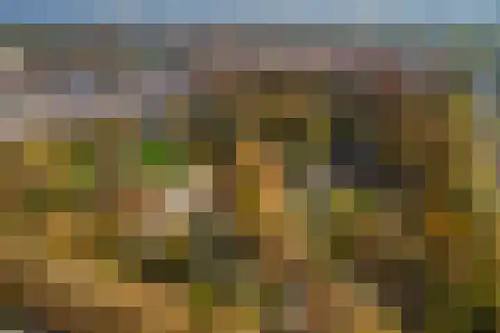 Celsiuslaan 78 Utrecht thumbnail 37