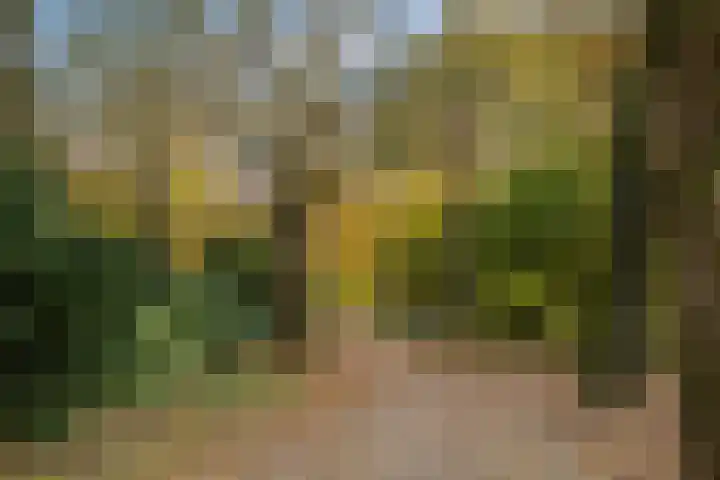 Celsiuslaan 78 Utrecht thumbnail 38